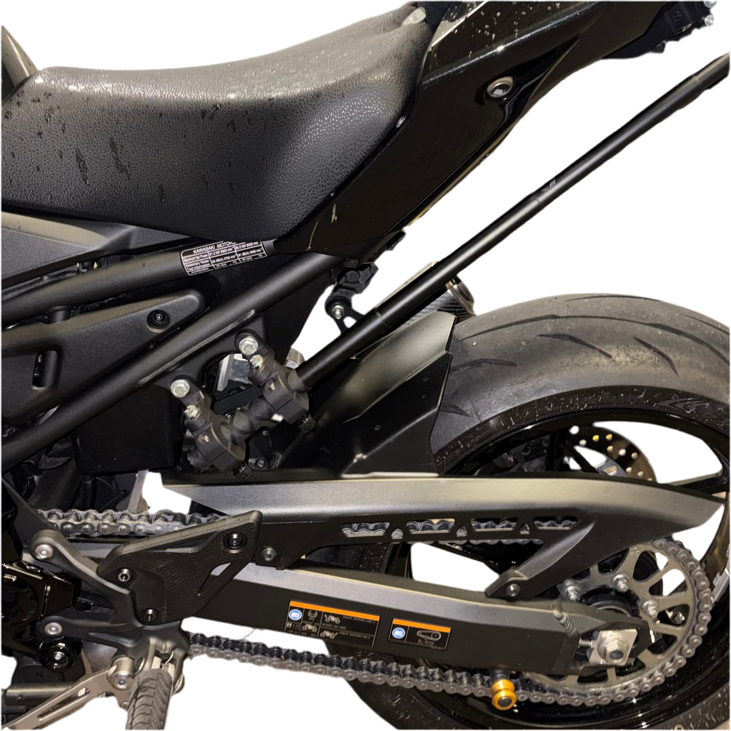 Kawasaki Z RideMount